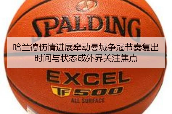 img_1780029240321_2_1_279.jpg